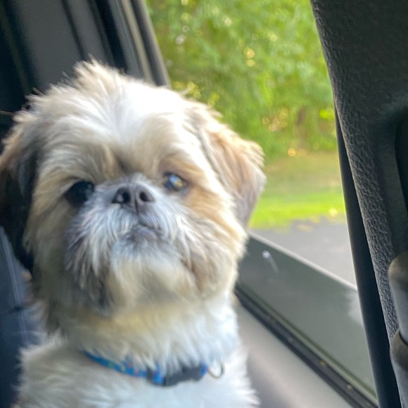 Profile Picture of Jaime Wheeler (@jaime_wheeler) on Poshmark