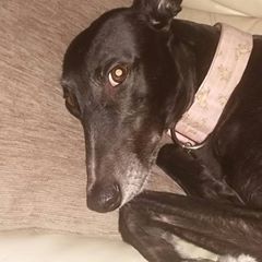 Profile Picture of Paul Cressy (@paulcressy) on Tiktok