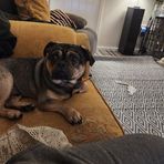 Profile Picture of Paul Blunt (@paul.blunt.98) on Facebook