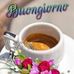 Profile Picture of Francesco Favuzza (@francesco.favuzza.7) on Facebook