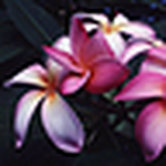 Profile Picture of vishal panchal (@Vishu1986) on Flickr