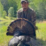 Profile Picture of Stephen Bottoms (@stephen_bottoms) on Instagram