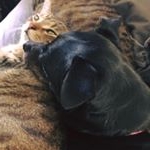 Profile Picture of Robin  Pulido (@robin.pulido48) on Instagram