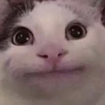 Profile Picture of Meme_Page (@oooohmyovaries) on Instagram