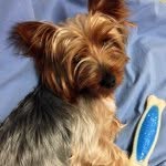 Profile Picture of Brian Harper (@brianharper_) on Instagram