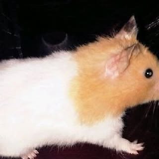 Profile Picture of Joshua Coady (@coadyjoshua) on Instagram