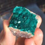 Profile Picture of Ian Chestnut (@icsnoxx) on Instagram