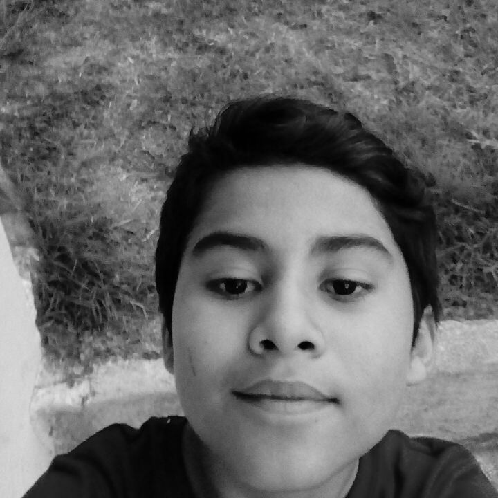 Profile Picture of AndyFonseca (@andyfonse773) on Tiktok