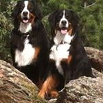 Profile Picture of Jeffrey Shimek (@jefmek) on Instagram