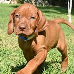 Profile Picture of jakab Eva (@evamendesjakab) on Instagram