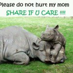 Profile Picture of John Arvanitakis (@johnarv1) on Instagram