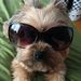 Profile Picture of Carrie Adkins (@adkins31) on Pinterest