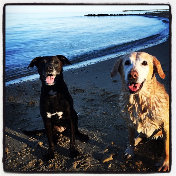 Profile Picture of Connie Wright (@wrightconnie) on Poshmark