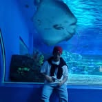 Profile Picture of Scott Pering (@scott.pering.3) on Facebook