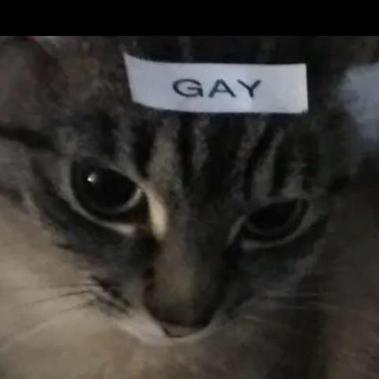 jamesdittman785 - Tiktok Profile Picture of jamesdittman785 (@@jamesdittman11) on Tiktok