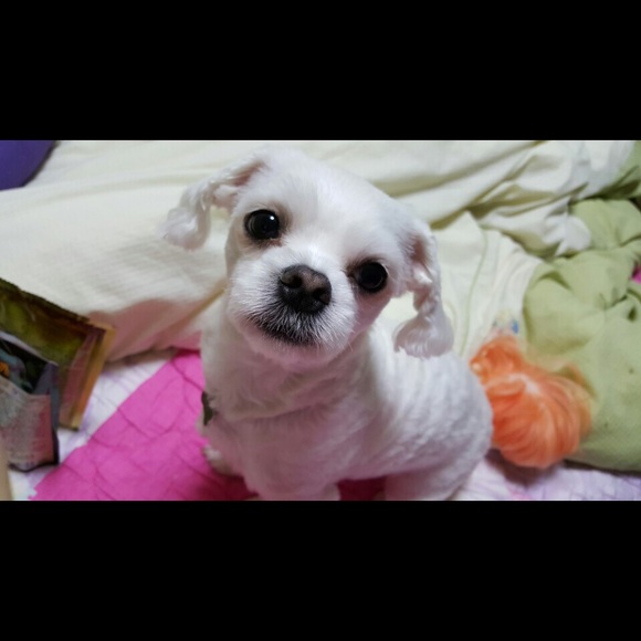 Profile Picture of Yumin Kim (@lovejkay) on Poshmark