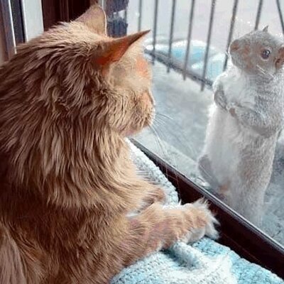 Profile Picture of Deborah Connell (@LittleDebbieC) on Twitter