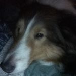 Profile Picture of Tina keeney (@tms689501) on Instagram