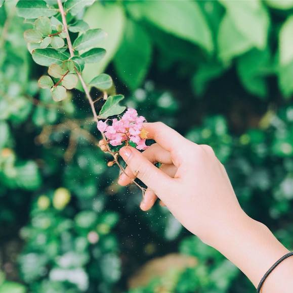 Profile Picture of Ánh Minh (@anhminhphan83) on Poshmark