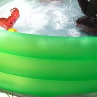 Profile Picture of Amelia Witherspoon (@amelia-witherspoon-2) on Quora