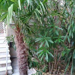 Profile Picture of Grado Bruckner (@grado.vialepaolodiacona) on Facebook