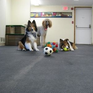 Profile Picture of Karla Schwarz (@142725831) on Myspace