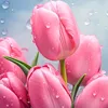 Profile Picture of LadyTulip🌷 (@ladytuliplala) on Tiktok
