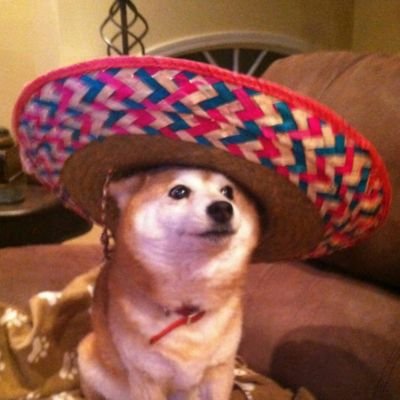 Profile Picture of Jay Marten (@pajaymies) on Twitter