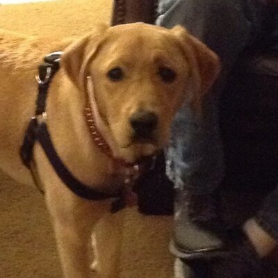 Profile Picture of Tyler Dube (@tdub213) on Twitter