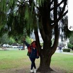 Jacqueline Toro Flores - Instagram Profile Picture of Jacqueline Toro Flores (@jacqueline._toro) on Instagram