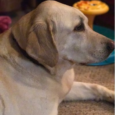 Profile Picture of Angie Manning (@AngMann1079) on Twitter