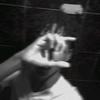 Profile Picture of Luis David (@atrop2x) on Tiktok