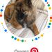 Profile Picture of Andrée Bélanger (AB63-) (@tourterelles) on Pinterest