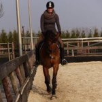 Profile Picture of Carlijn Jansen (@carlyntje) on Instagram