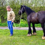 Profile Picture of Craig Coulson (@coulson1243) on Instagram