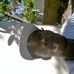 Profile Picture of Cordell Thurston (@cordell.thurston.12) on Facebook