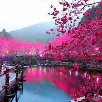 Profile Picture of Vaishali Walia (@NirmalaWalia) on Twitter