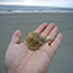 Profile Picture of Thad Y. Smith (@thad y. smith) on Flickr