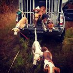 Profile Picture of Randall Scott (@252_rebel_country_kennels) on Instagram
