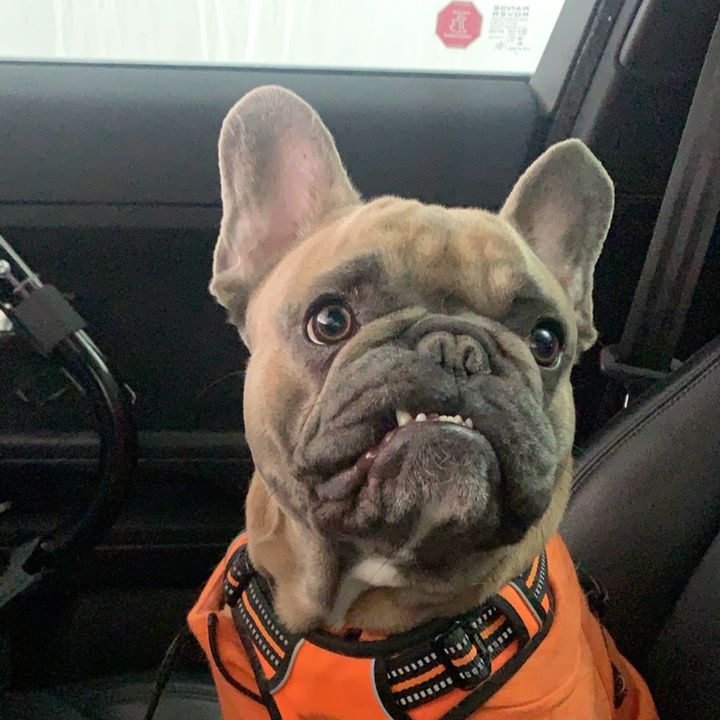 Profile Picture of   Tyler Jesse Rempel... (@tylerjesserempel) on Tiktok