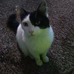 Profile Picture of Ian Carlos (@ian.arruda2107) on Instagram