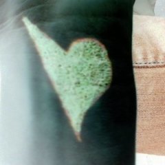 Profile Picture of Laci T (@bluebel_dies) on Myspace