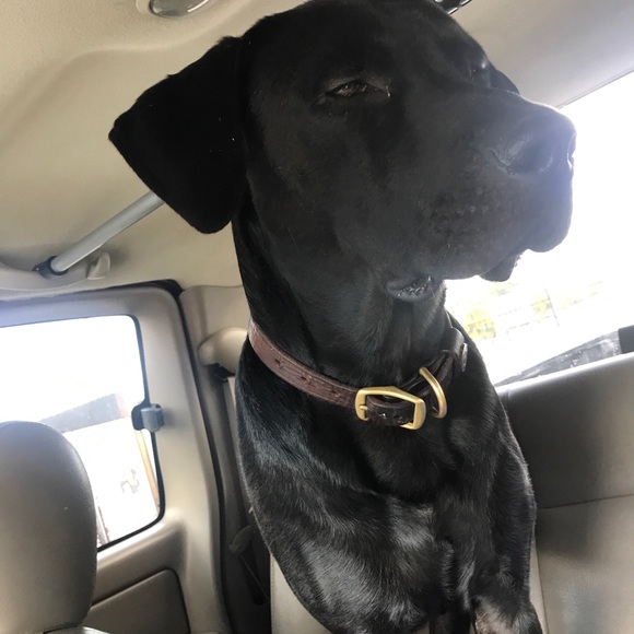 Profile Picture of Alex Boswell (@alexboz0313) on Poshmark