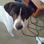 Profile Picture of Thomas Hawkes (@thomas.hawkes.374) on Instagram