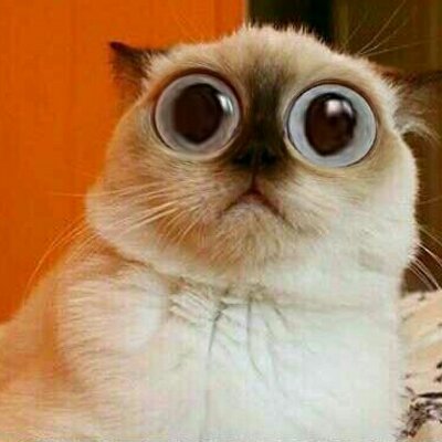 Profile Picture of Gary (@Gaz_In_Cheshire) on Twitter