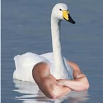 Profile Picture of Rudy Guedè (@Rudy-Guedè) on Facebook