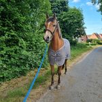 Profile Picture of Eva Schmidt (@eva_schmidt_) on Instagram