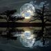 Profile Picture of Cedric Burns (@burnscedric401) on Pinterest