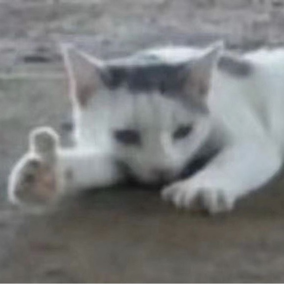 Profile Picture of Olivia Hohl (@ace0015) on Poshmark