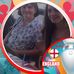 Profile Picture of Hazel Parr (@hazel.parr.52) on Facebook